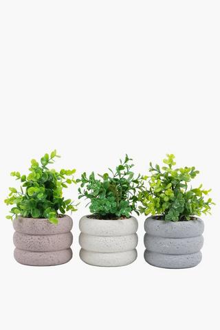 Assorted Greenery In Stone Pot, 11x22cm