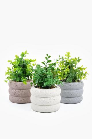 Assorted Greenery In Stone Pot, 11x22cm