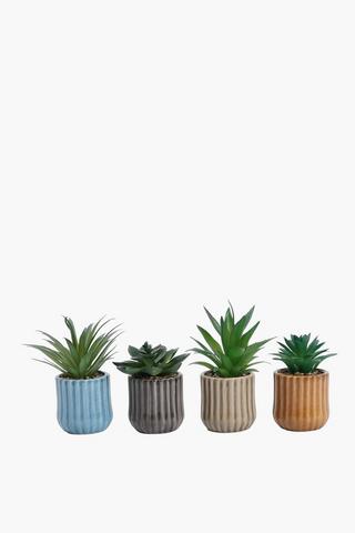 Assorted Agaves In Ribbed Pot, 7x17cm