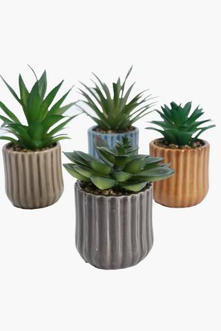 Assorted Agaves In Ribbed Pot, 7x17cm