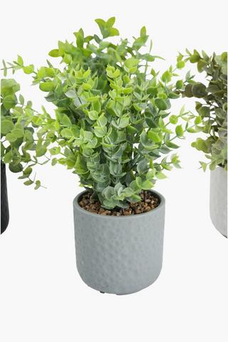 Assorted Greenery In Dimple Pot, 10x27cm