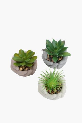 Assorted Succulents In Hand Pot,