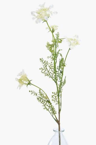 Lace Flower Single Stem, 97cm