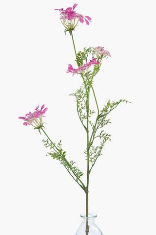 Lace Flower Single Stem, 97cm