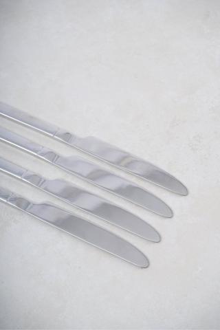 4 Pack Stainless Steel Knives