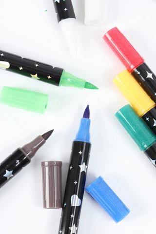 12 Pack Metallic Paint Pens