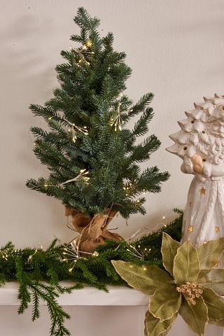 Potted Christmas Tree, 60cm