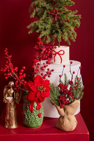 Poinsettia Single Stem, 50cm