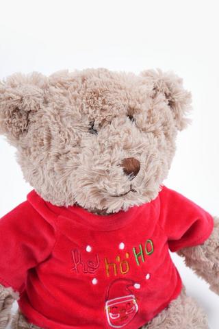 Ho Ho Ho Christmas Teddy Soft Toy