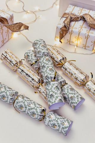 10 Pack Bows Cracker Set