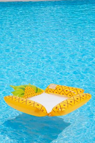 Inflatable Pineapple Mesh Pool Chair