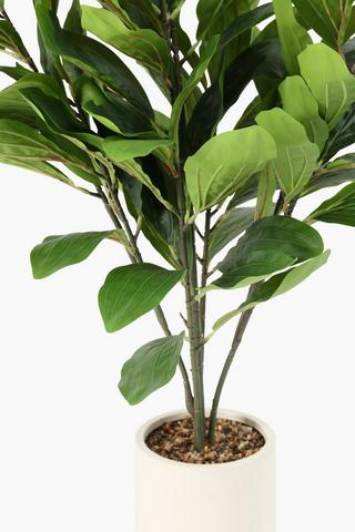 Potted Tree, 97cm