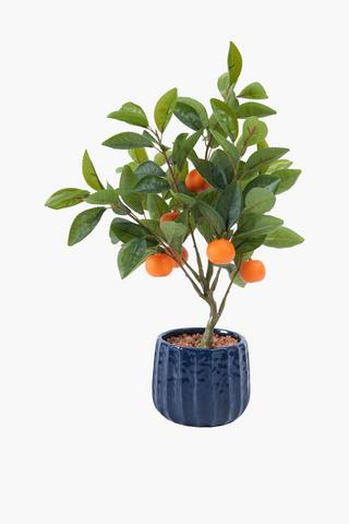 Orange Tree Potted, 51cm