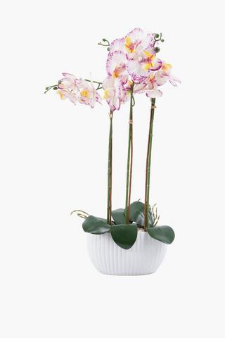 Orchid 3 Stem In Oval Pot, 21x61.5cm