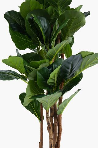 Fiddle Leaf Tree, 120cm