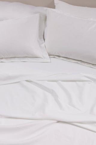 800 Thread Count Flat Sheet