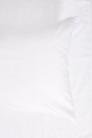 2 Pack Standard Cotton Pillowcase