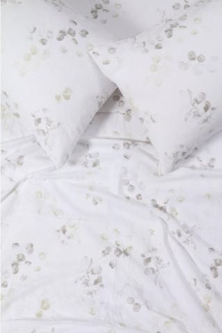 Winter Brushed Cotton Loha Fitted Sheet