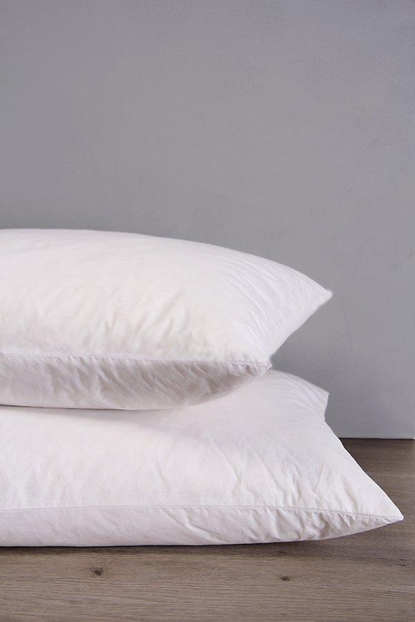 Standard Feather King Pillow