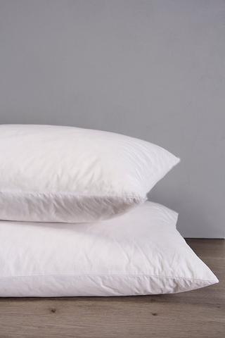 Standard Feather King Pillow