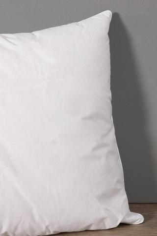 Goose Feather And Down Standard Pillow, 50x90cm