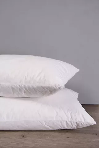 Feather Cotton Standard Pillow