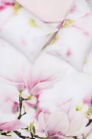 Photographic Cherry Blossom Duvet Cover Set