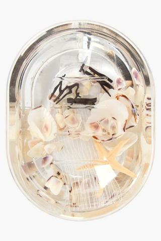 Floating Shell Soap Dish