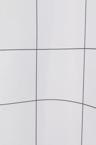 Grid Shower Curtain 
