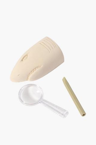 Shark Fossil Kit