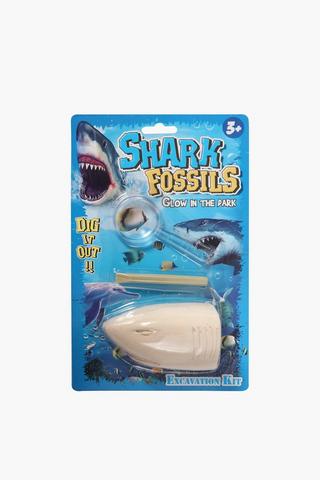 Shark Fossil Kit