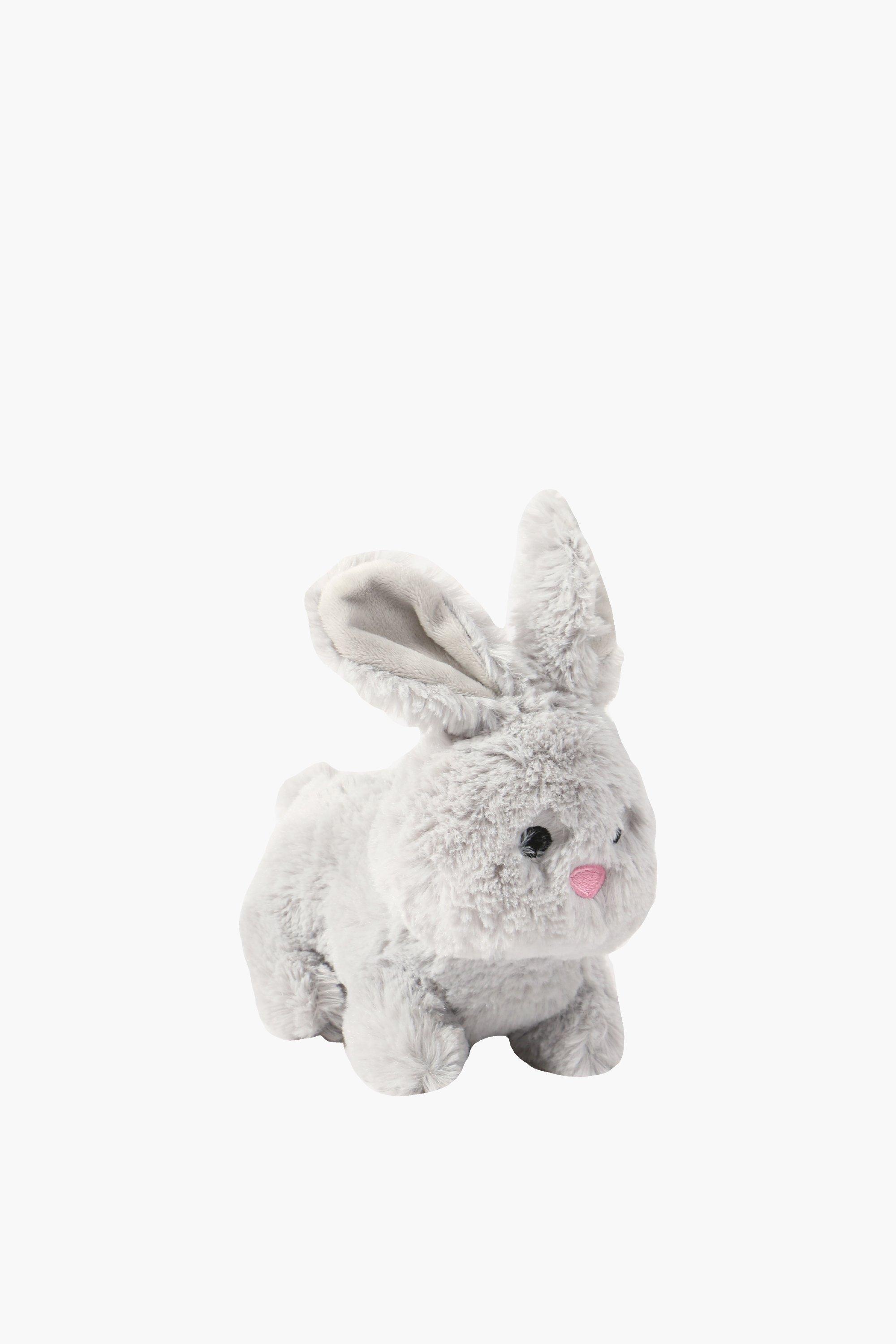 Mini Bunny