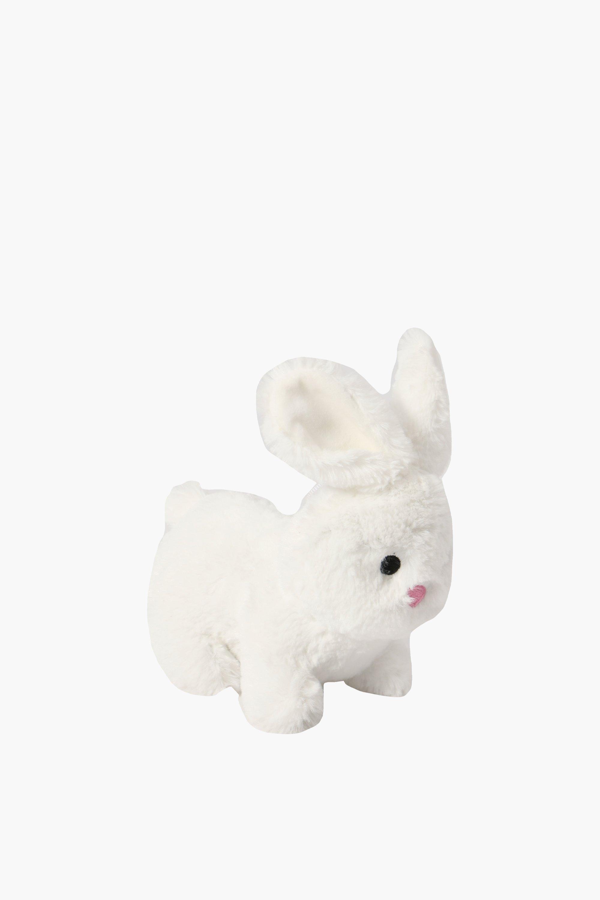 Mini Bunny