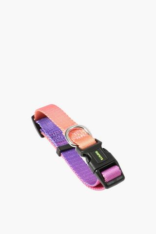 Pet Collar Medium
