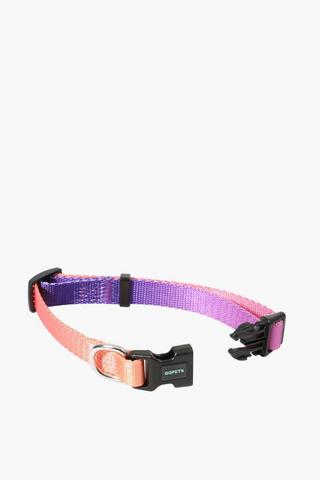 Pet Collar Medium