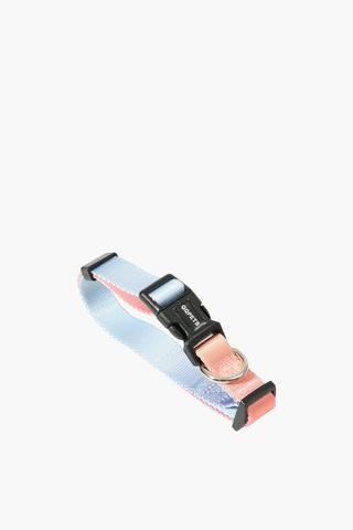 Pet Collar Small