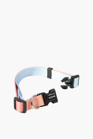 Pet Collar Small