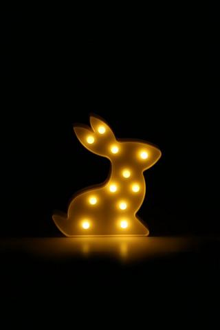 Led Light Bunny