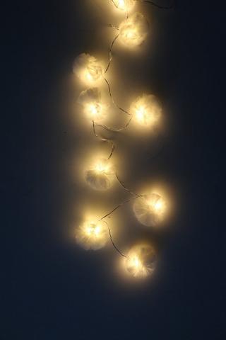 String Light Mesh Pom