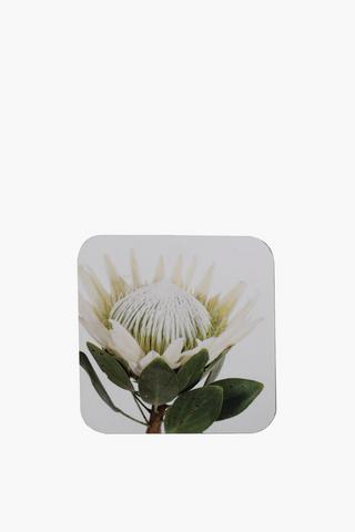 4 Pack Protea Coasters