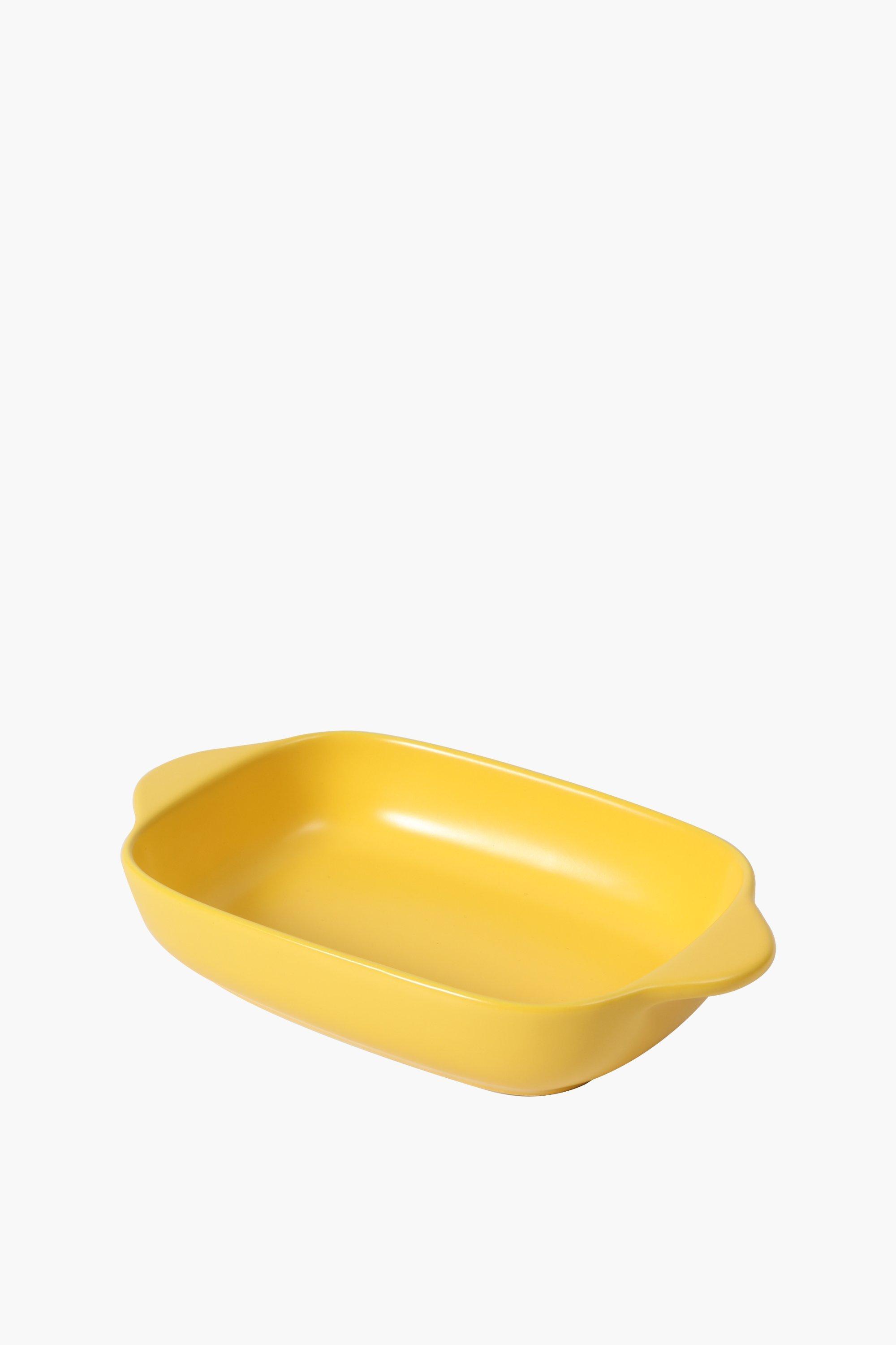 Mini Oven Roaster