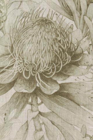 Zoe Protea Tablecloth 135x230cm