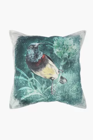 Printed Bird Feather Scatter Cushion, 60x60cm