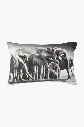 Digital Print Waterhole Elephants Scatter Cushion, 40x60cm
