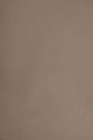 Sheer Voile 290x218cm Taped Curtain