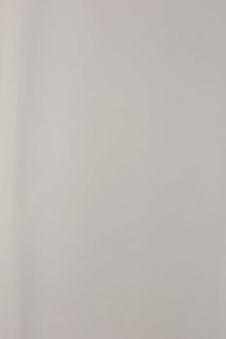 Sheer Voile Eyelet Curtain 225x250cm