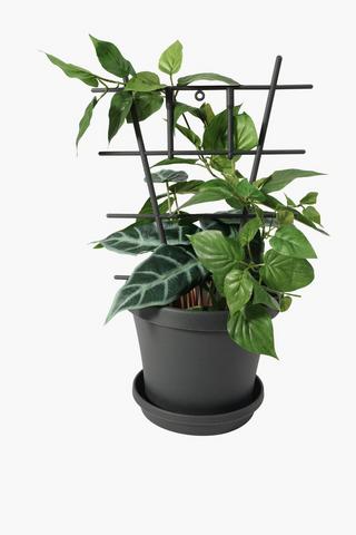 Plastic Stake Plant Ladder
