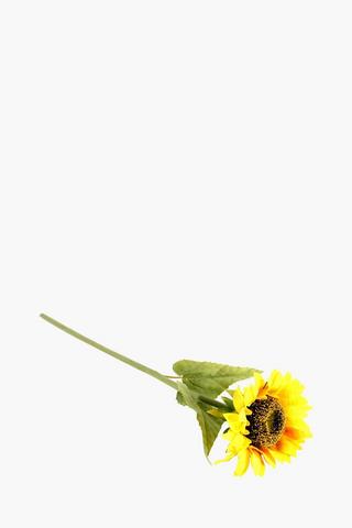 Sunflower Single Stem