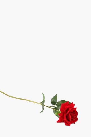 Elegant Rose Single Stem
