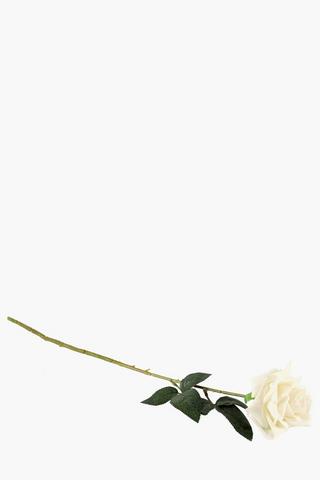 Elegant Rose Single Stem